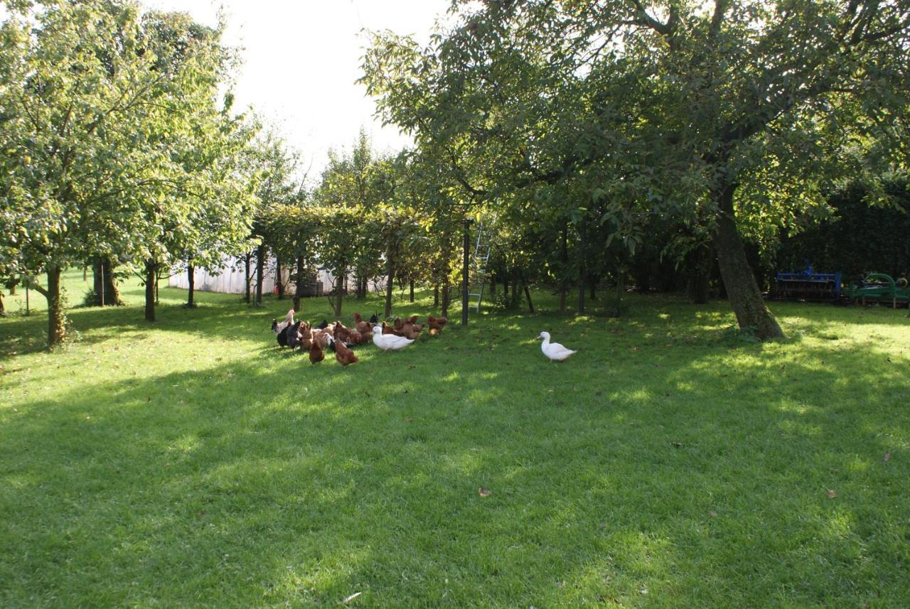 Agrogosia Hotel Czajowice Buitenkant foto