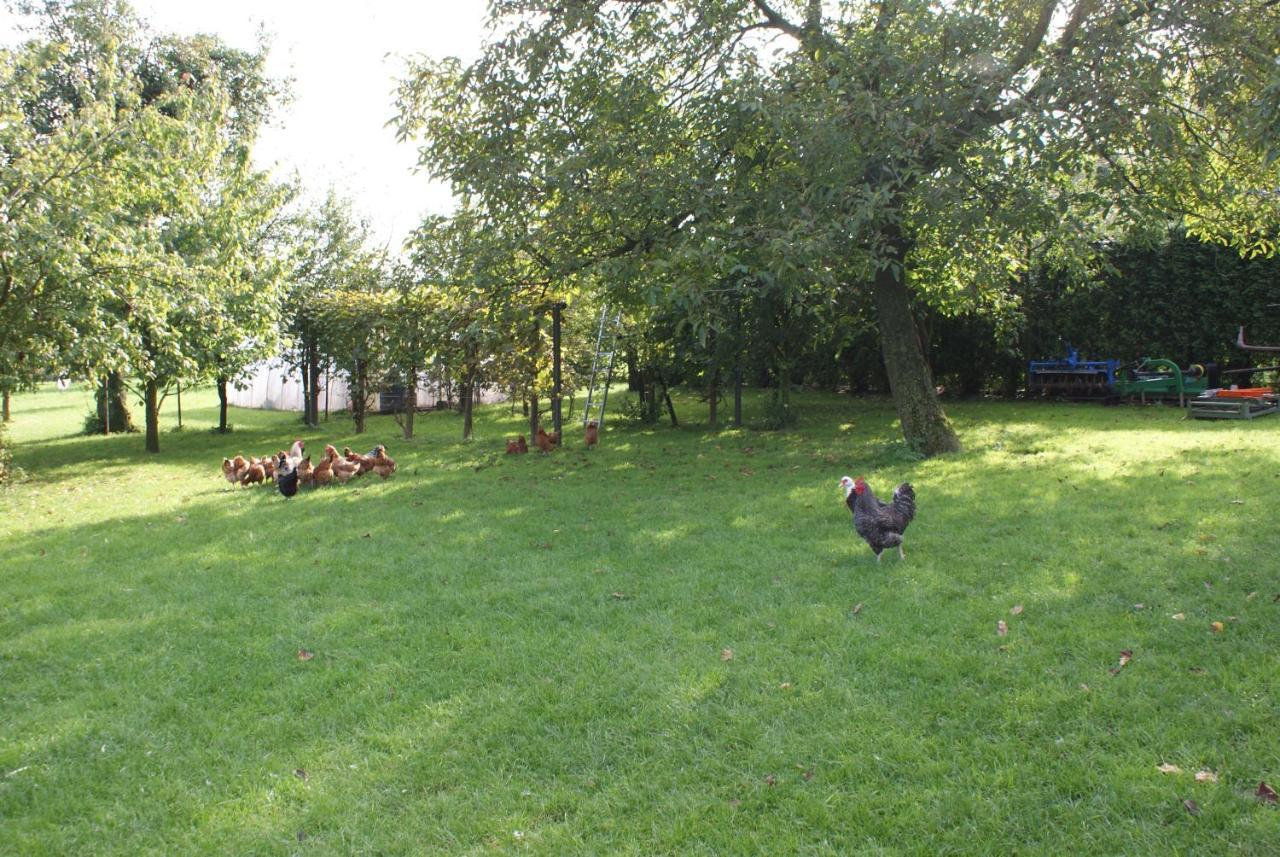 Agrogosia Hotel Czajowice Buitenkant foto