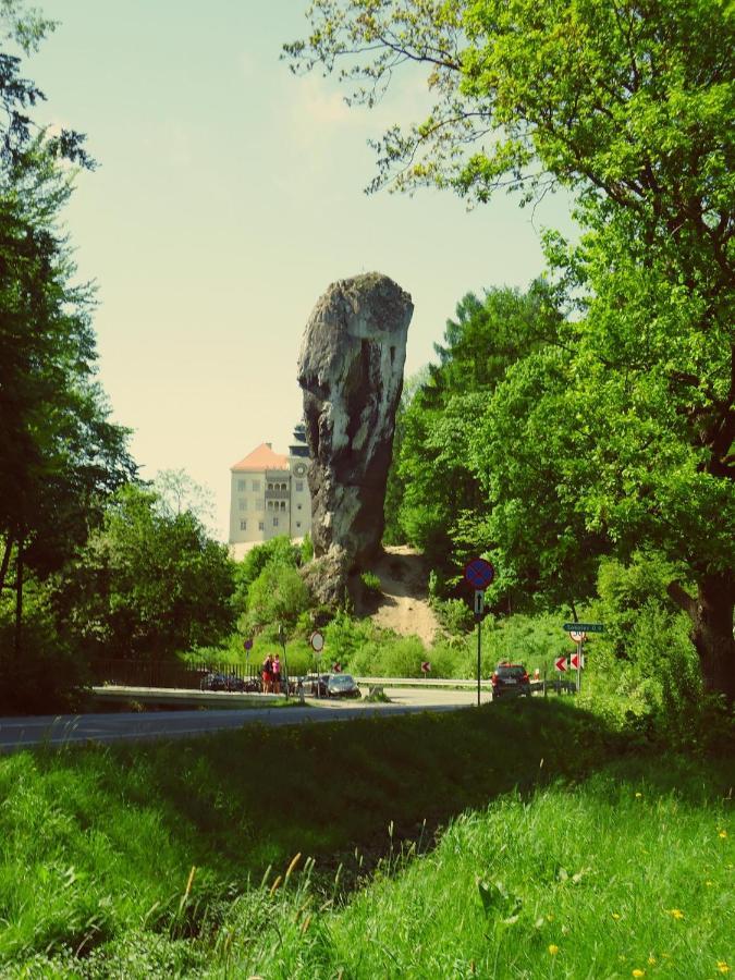 Agrogosia Hotel Czajowice Buitenkant foto